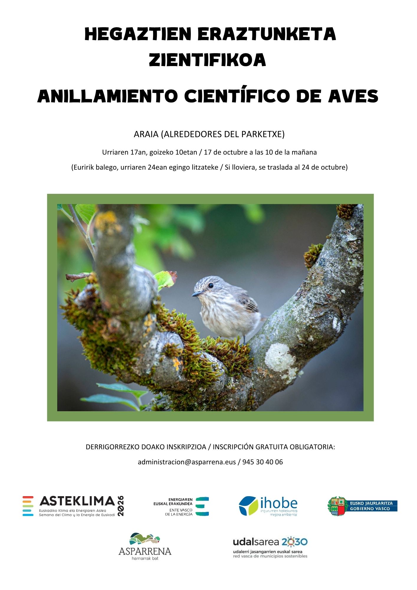 aves